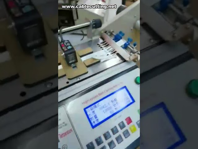 고속 냉온 라벨 절단기 | 자동 라벨 커팅 머신 추천