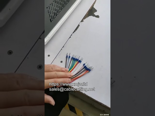 자동 와이어 스트리핑 및 페룰 압착기 | 효율적인 전선 종단 자동화